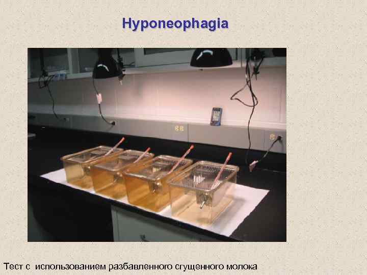 Hyponeophagia Тест с использованием разбавленного сгущенного молока 