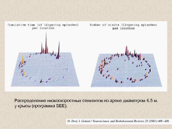 Распределение низкоскоростных сегментов по арене диаметром 6. 5 м. у крысы (программа SEE). 