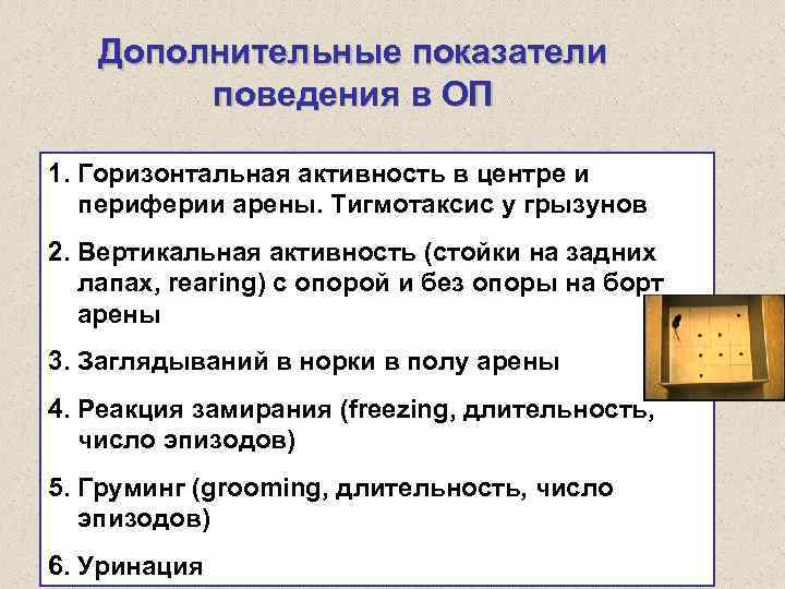 Дополнительные показатели поведения в ОП 1. Горизонтальная активность в центре и периферии арены. Тигмотаксис