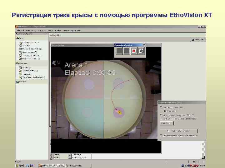 Регистрация трека крысы с помощью программы Etho. Vision XT 