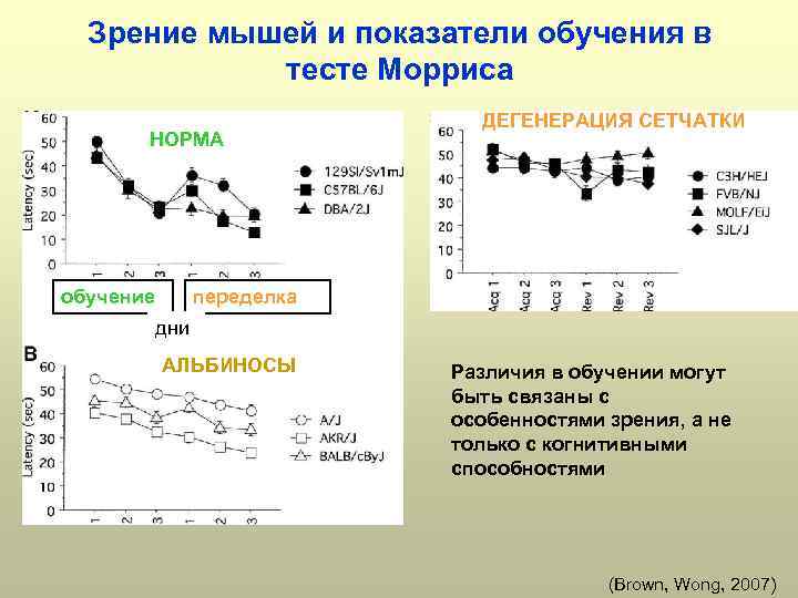 Зрение мышей и показатели обучения в тесте Морриса НОРМА обучение ДЕГЕНЕРАЦИЯ СЕТЧАТКИ переделка дни