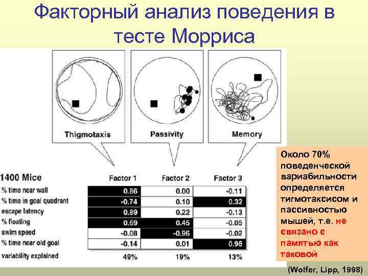 Факторный анализ поведения в тесте Морриса Около 70% поведенческой вариабильности определяется тигмотаксисом и пассивностью