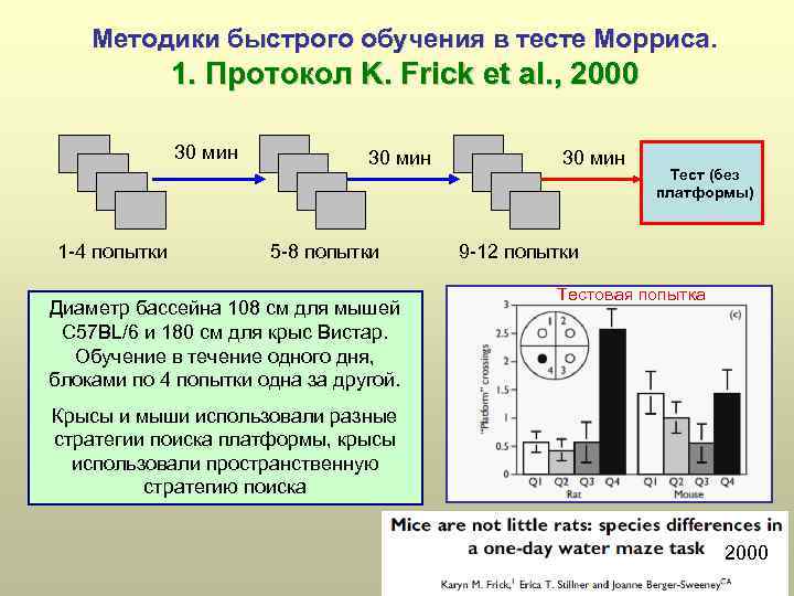 Методики быстрого обучения в тесте Морриса. 1. Протокол K. Frick et al. , 2000