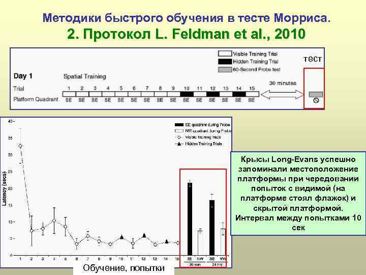 Методики быстрого обучения в тесте Морриса. 2. Протокол L. Feldman et al. , 2010