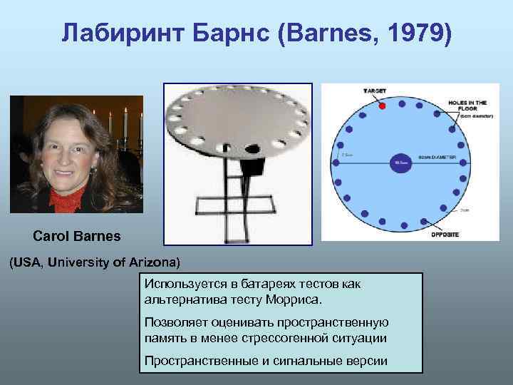 Лабиринт Барнс (Barnes, 1979) Carol Barnes (USA, University of Arizona) Используется в батареях тестов