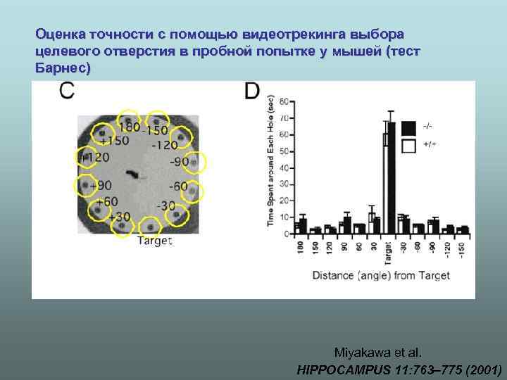 Оценка точности с помощью видеотрекинга выбора целевого отверстия в пробной попытке у мышей (тест