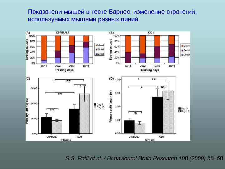 Показатели мышей в тесте Барнес, изменение стратегий, используемых мышами разных линий S. S. Patil