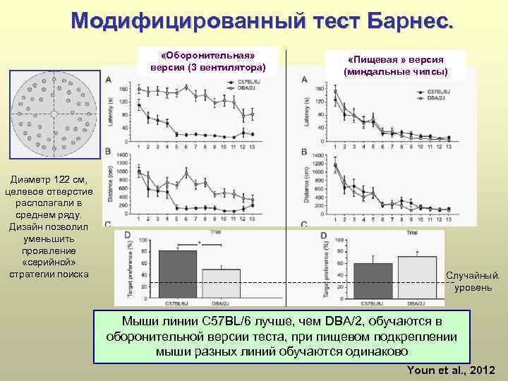 Модифицированный тест Барнес. «Оборонительная» версия (3 вентилятора) Диаметр 122 см, целевое отверстие располагали в