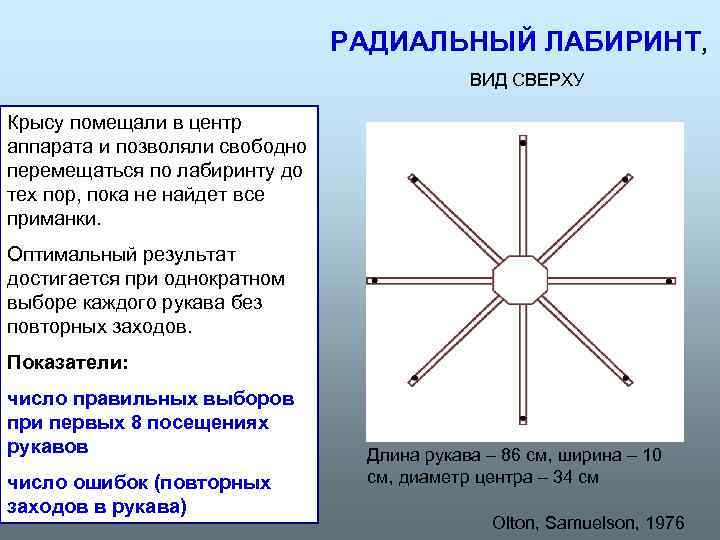 РАДИАЛЬНЫЙ ЛАБИРИНТ, ВИД СВЕРХУ Крысу помещали в центр аппарата и позволяли свободно перемещаться по