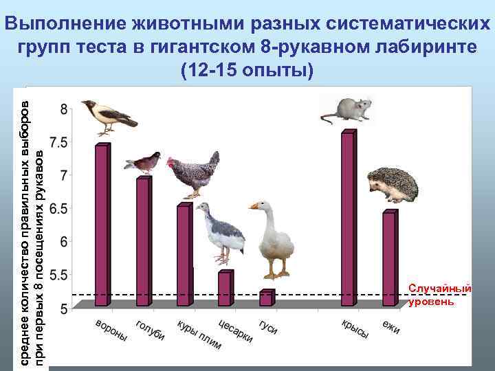 среднее количество правильных выборов при первых 8 посещениях рукавов Выполнение животными разных систематических групп