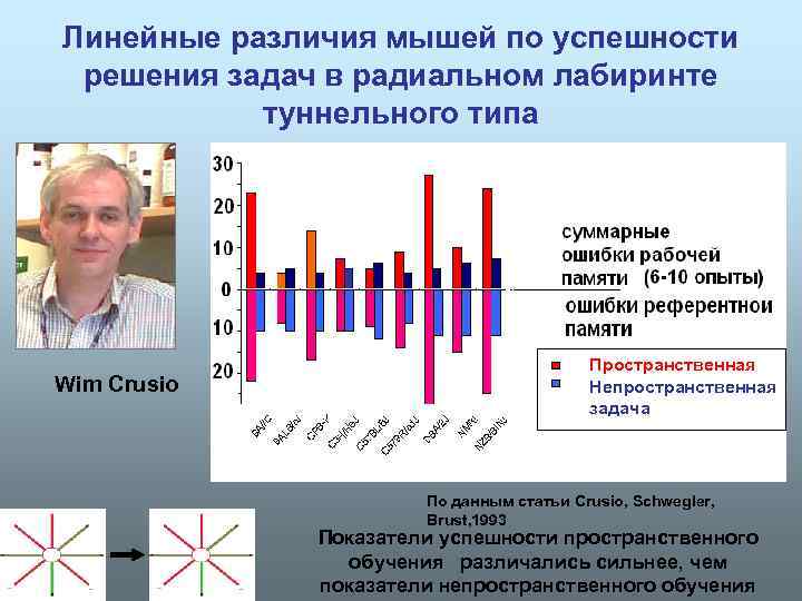 В чем разница линейно