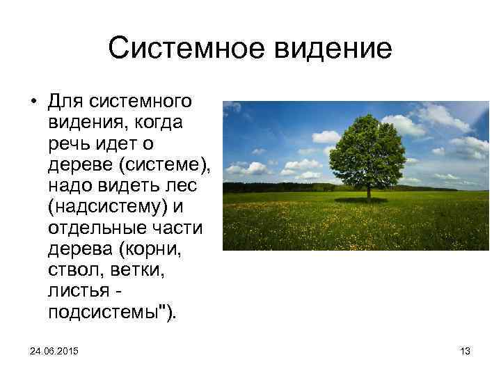 Системное видение • Для системного видения, когда речь идет о дереве (системе), надо видеть