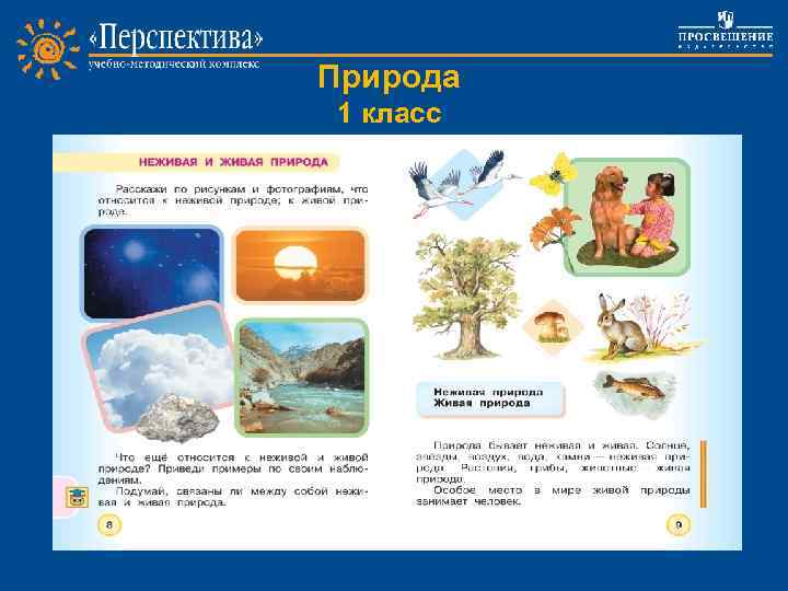 Природа 1 класс Project work 