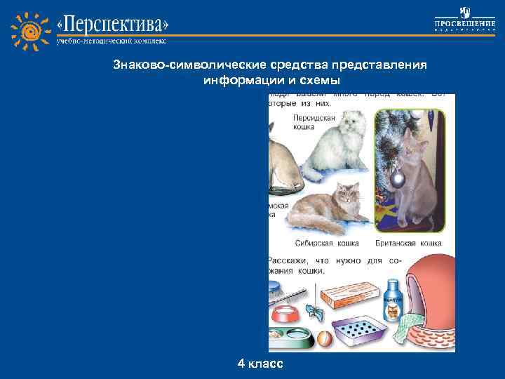 Знаково-символические средства представления информации и схемы Project work 4 класс 