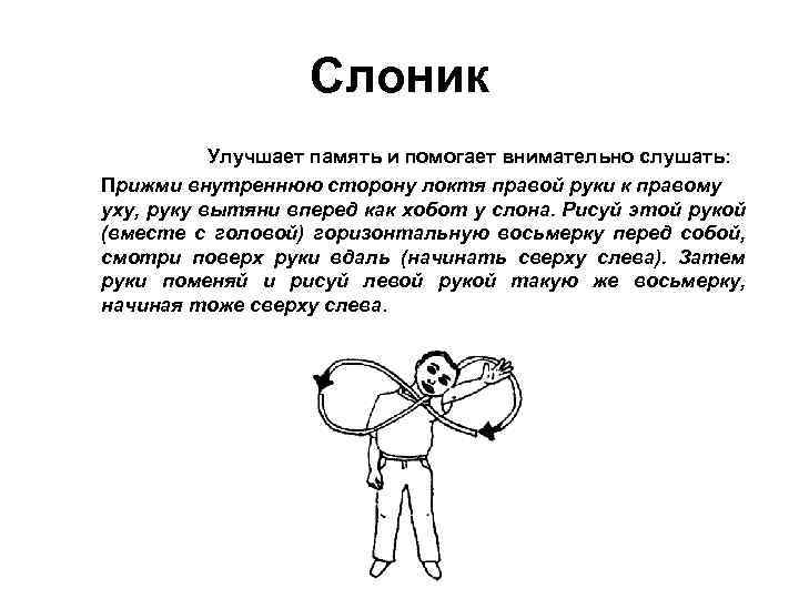 Слоник Улучшает память и помогает внимательно слушать: Прижми внутреннюю сторону локтя правой руки к