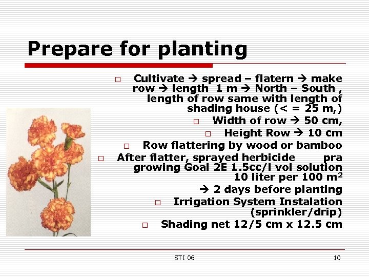 Prepare for planting Cultivate spread – flatern make row length 1 m North –