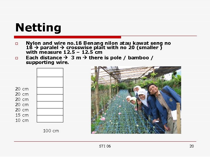 Netting o o 20 20 20 15 10 Nylon and wire no. 18 Benang