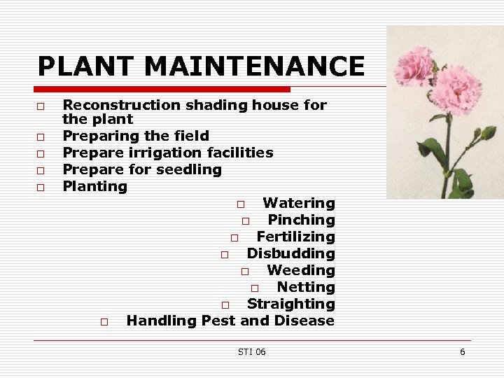 PLANT MAINTENANCE o o o Reconstruction shading house for the plant Preparing the field