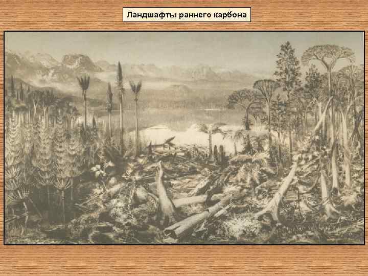 Ландшафты раннего карбона 