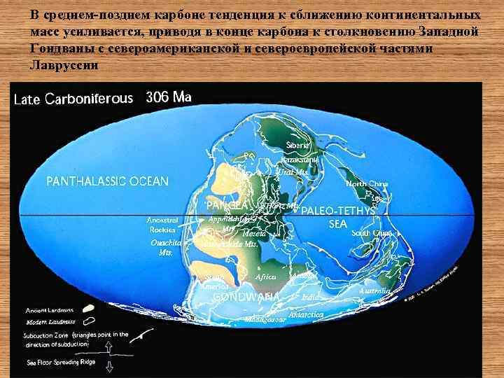 В среднем-позднем карбоне тенденция к сближению континентальных масс усиливается, приводя в конце карбона к