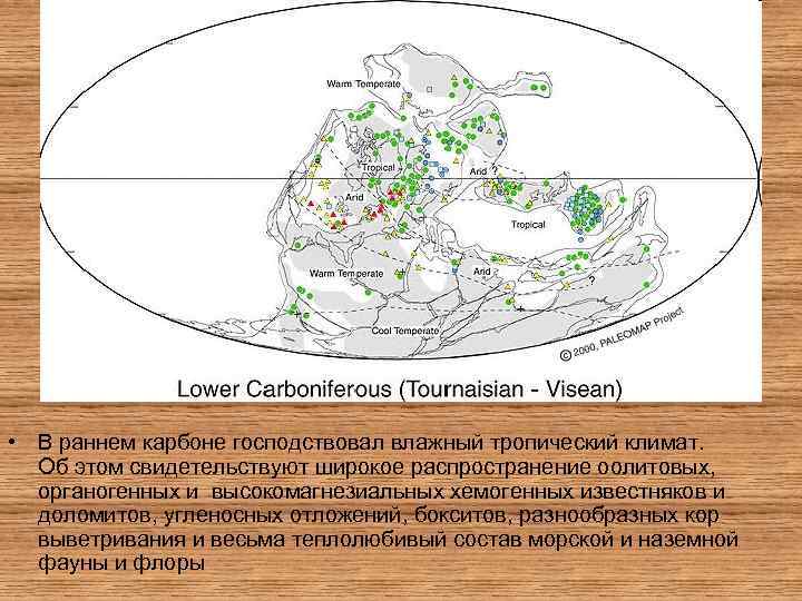  • В раннем карбоне господствовал влажный тропический климат. Об этом свидетельствуют широкое распространение