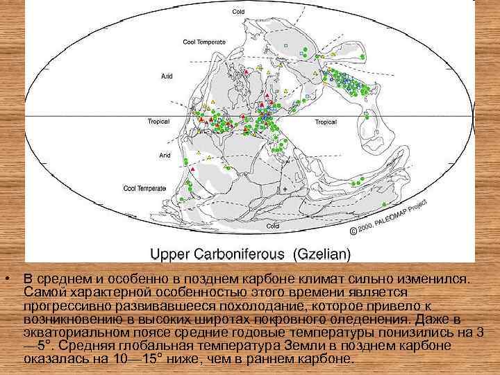  • В среднем и особенно в позднем карбоне климат сильно изменился. Самой характерной
