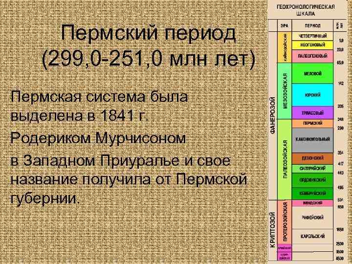 Пермский период (299, 0 -251, 0 млн лет) Пермская система была выделена в 1841