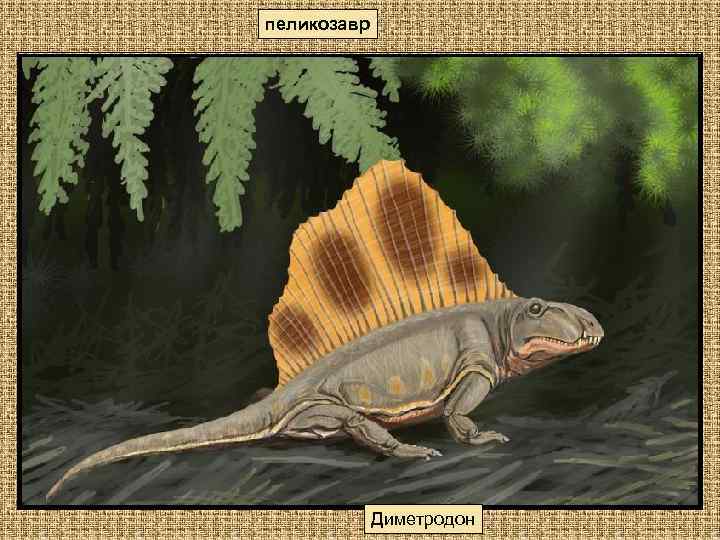 пеликозавр Диметродон 