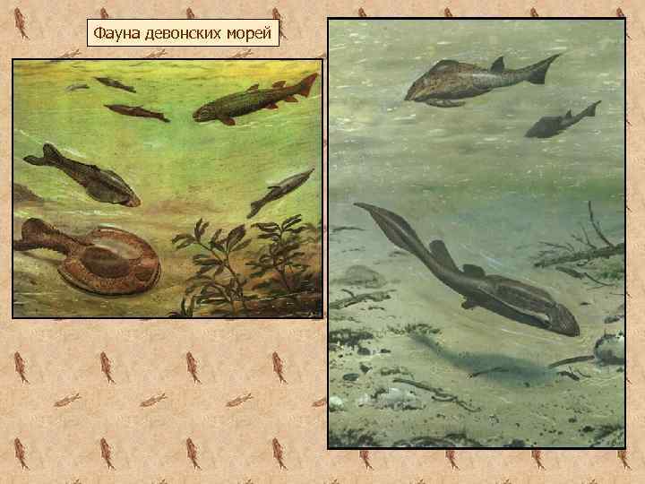 Фауна девонских морей 