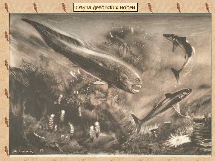 Фауна девонских морей 