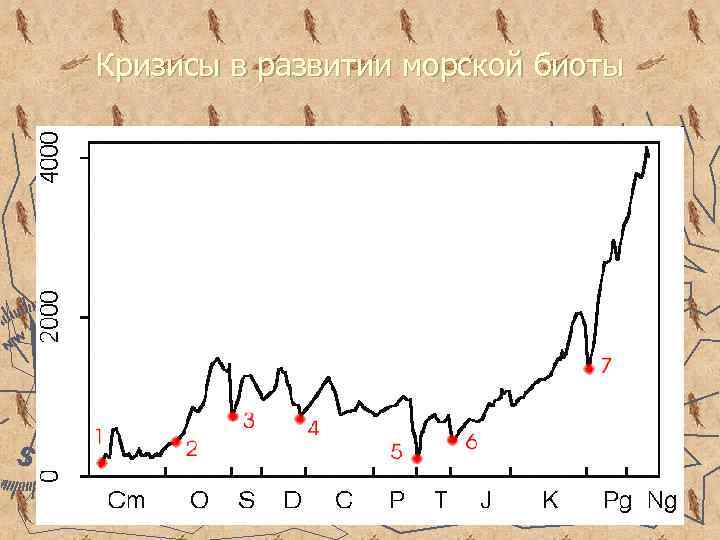 Кризисы в развитии морской биоты 