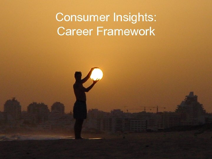 Consumer Insights: Career Framework CONSUMER INSIGHTS 