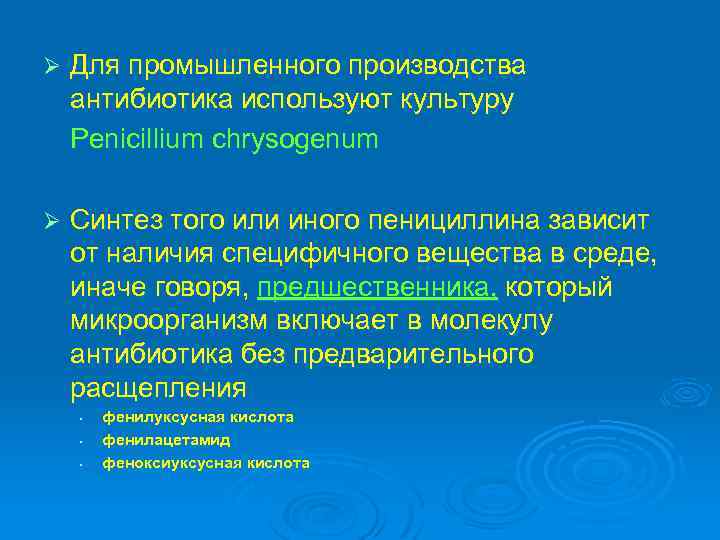 Ø Для промышленного производства антибиотика используют культуру Penicillium chrysogenum Ø Синтез того или иного