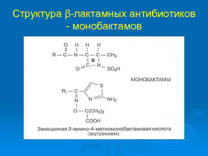 Структура β-лактамных антибиотиков - монобактамов 