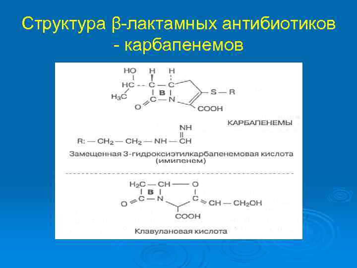 Структура β-лактамных антибиотиков - карбапенемов 