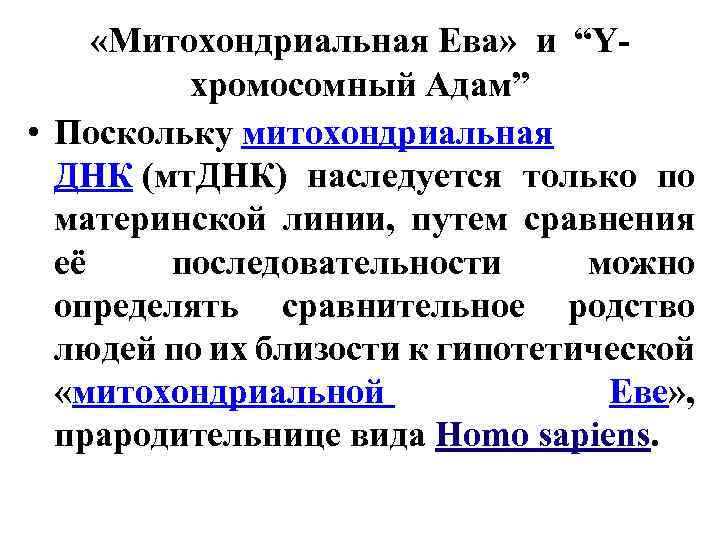  «Митохондриальная Ева» и “Yхромосомный Адам” • Поскольку митохондриальная ДНК (мт. ДНК) наследуется только