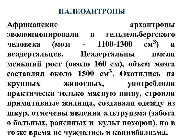 ПАЛЕОАНТРОПЫ Африканские архантропы эволюционировали в гельдельбергского человека (мозг - 1100 -1300 см 3) и