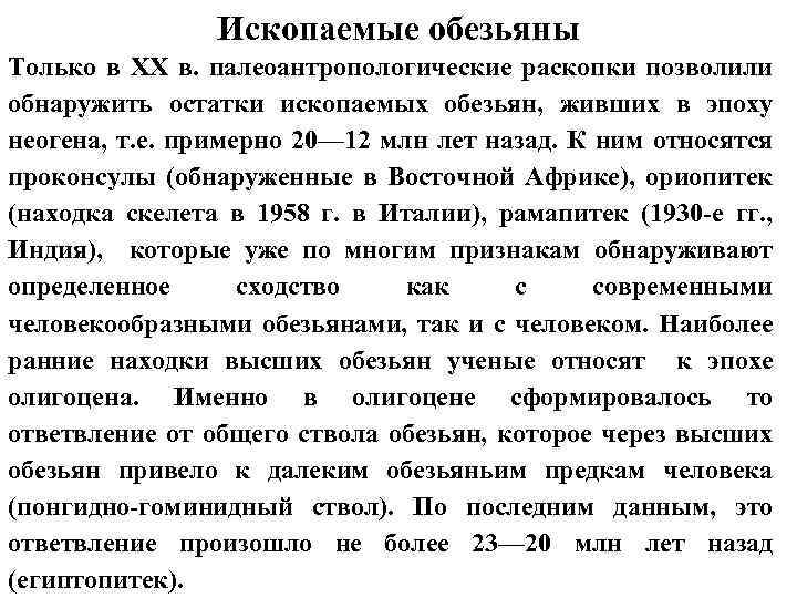 Ископаемые обезьяны Только в XX в. палеоантропологические раскопки позволили обнаружить остатки ископаемых обезьян, живших