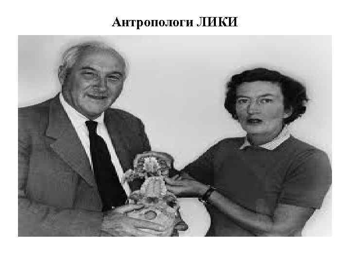 Антропологи ЛИКИ 