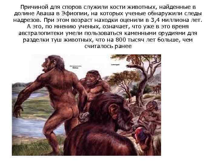 Причиной для споров служили кости животных, найденные в долине Аваша в Эфиопии, на которых