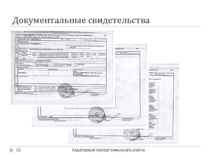 Документальные свидетельства 12 Кадастровый паспорт земельного участка 