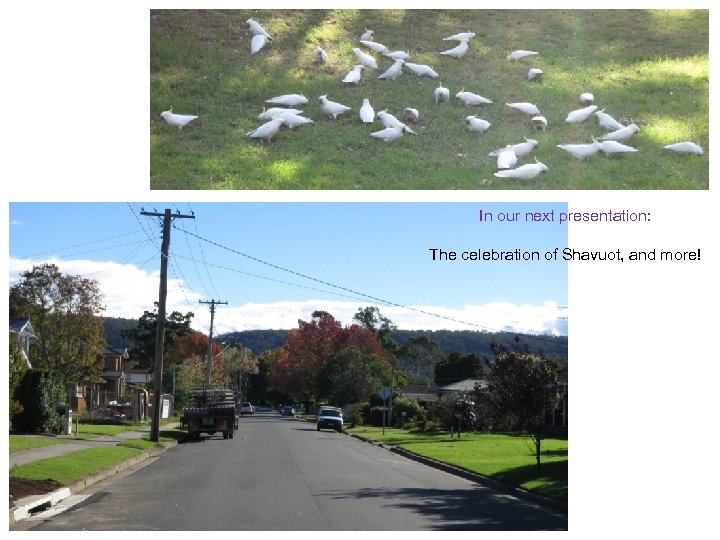 In our next presentation: The celebration of Shavuot, and more! 