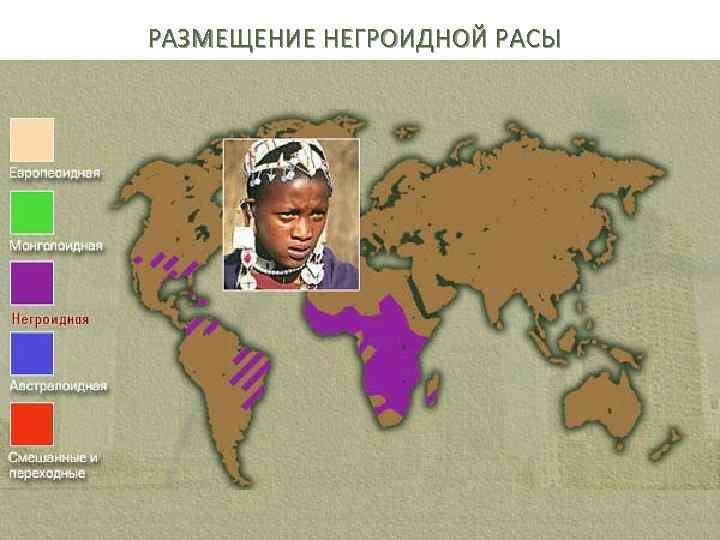 РАЗМЕЩЕНИЕ НЕГРОИДНОЙ РАСЫ 