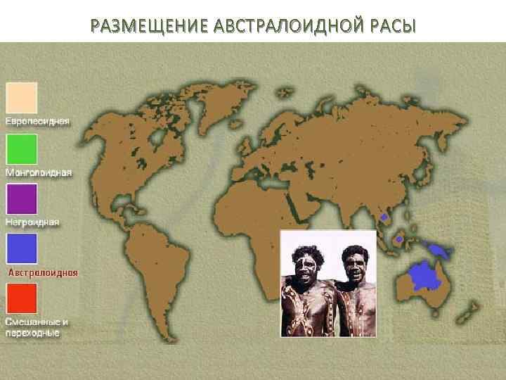 РАЗМЕЩЕНИЕ АВСТРАЛОИДНОЙ РАСЫ 