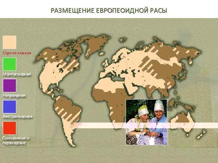 РАЗМЕЩЕНИЕ ЕВРОПЕОИДНОЙ РАСЫ 