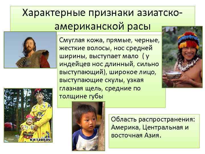 Характерные признаки азиатскоамериканской расы Смуглая кожа, прямые, черные, жесткие волосы, нос средней ширины, выступает