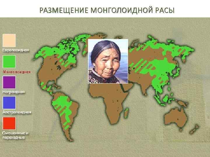 РАЗМЕЩЕНИЕ МОНГОЛОИДНОЙ РАСЫ 