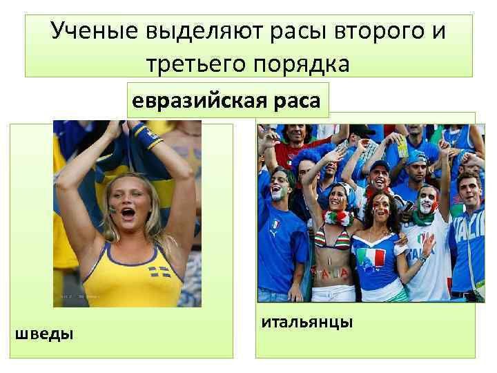 Ученые выделяют расы второго и третьего порядка евразийская раса шведы итальянцы 
