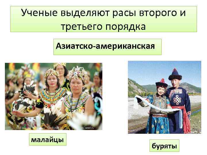 Ученые выделяют расы второго и третьего порядка Азиатско-американская малайцы буряты 