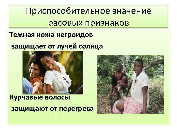 Приспособительное значение расовых признаков Темная кожа негроидов защищает от лучей солнца Курчавые волосы защищают